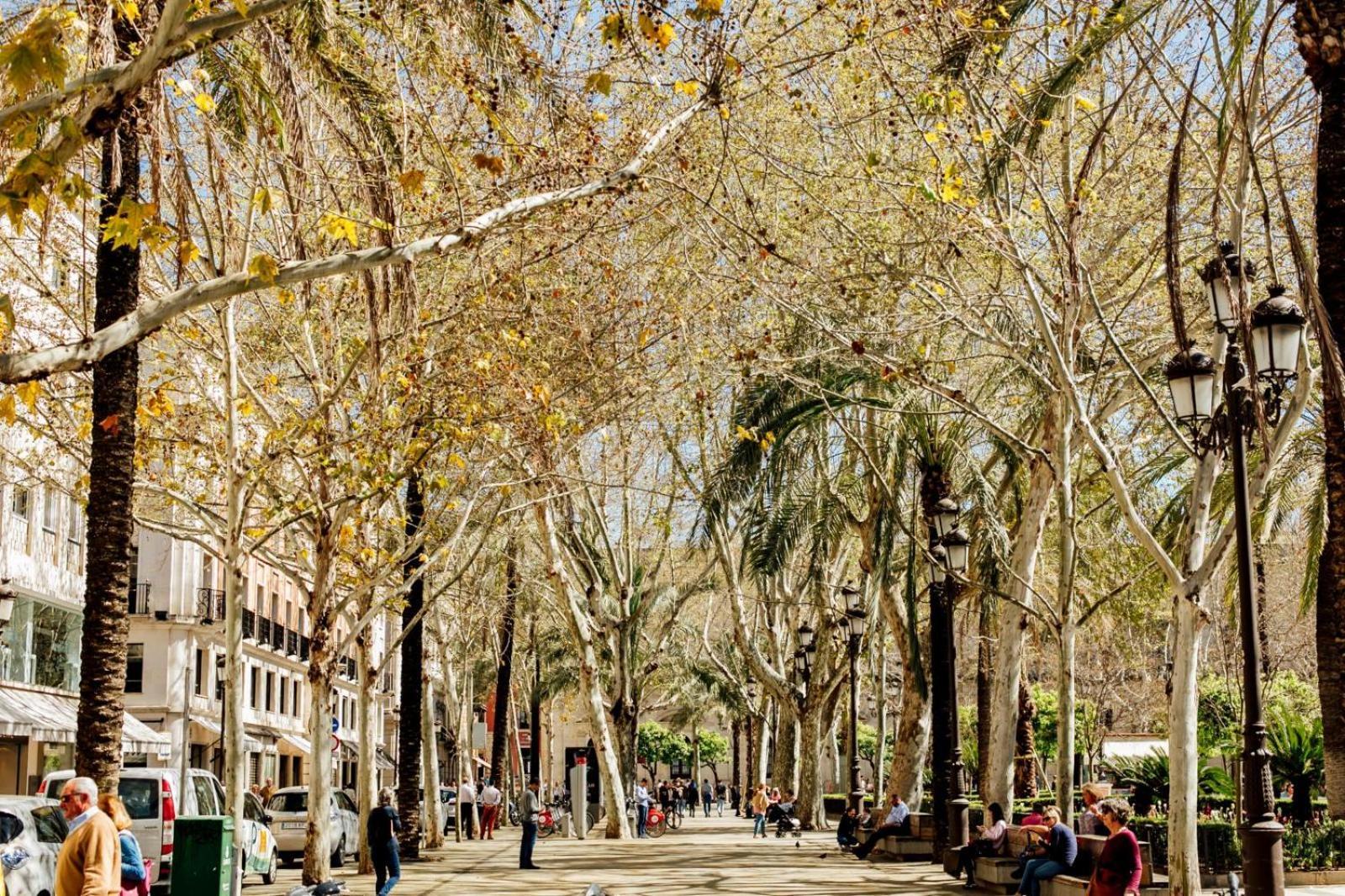 Plaza De La Magdalena I, Sevilla Centro Historico Exteriér fotografie